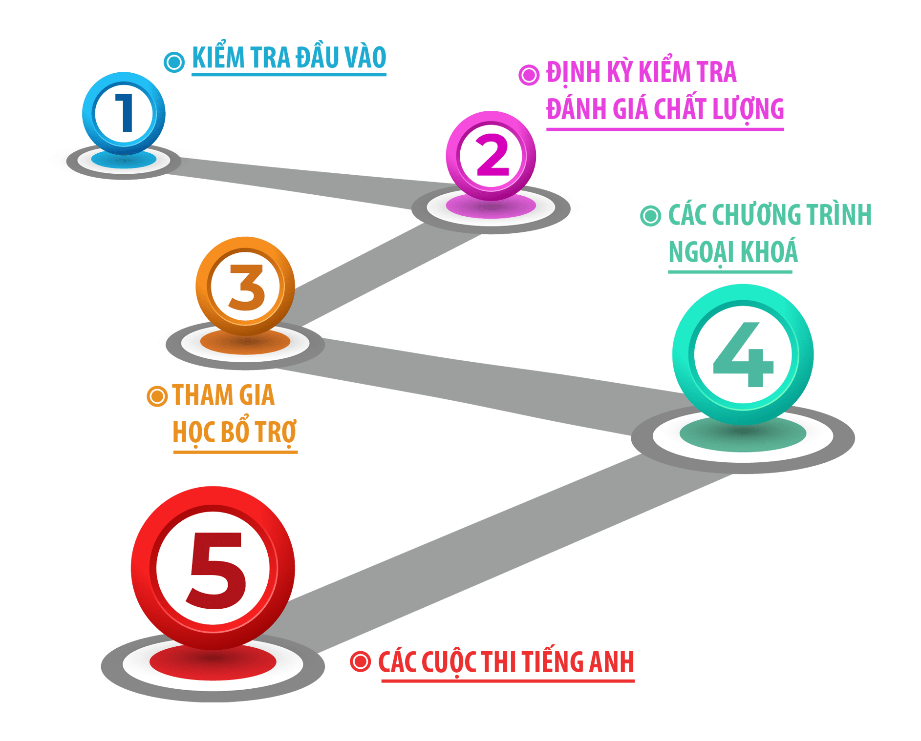 Quy trình đào tạo